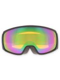 Vignette Alpina, Double Jack Planet Q-Lite lunettes de ski unisexe Black-Sand Matt brun, noir 