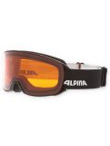 Vignette Alpina, Nakiska lunettes de ski unisexe Black Matt noir 