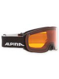 Vignette Alpina, Nakiska lunettes de ski unisexe Black Matt noir 