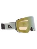 Vignette Alpina, Penken Q-Lite lunettes de ski unisexe Willow Green Matt vert 