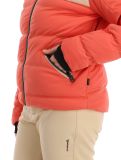 Vignette Brunotti, Niagona veste de ski femmes Burnt Sienna beige, bleu, rouge 