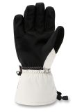 Vignette Dakine, Scout gants de ski hommes Silver Lining blanc 