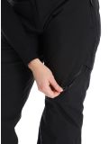 Vignette Dare2b, Ice pantalon de ski femmes Black noir 