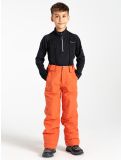 Vignette Dare2b, Outmove II pantalon de ski enfants Orange Rust orange 