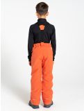 Vignette Dare2b, Outmove II pantalon de ski enfants Orange Rust orange 