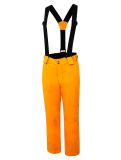 Vignette Dare2b, Outmove II pantalon de ski enfants PuffinsOrnge noir, orange 