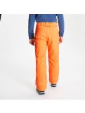 Vignette Dare2b, Outmove Ii Pant pantalon de ski enfants vivid orange 