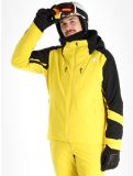 Vignette Descente, Chester veste de ski hommes Warbler Yellow jaune, noir 