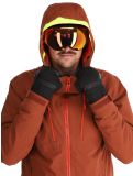 Vignette Helly Hansen, Alpha 4.0 veste de ski hommes Iron Oxide brun 