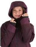 Vignette Icepeak, Cavour veste de ski femmes Plum violet 