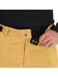 Vignette Icepeak, Collins pantalon de ski hommes fudge brun 