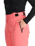 Vignette Icepeak, Florence pantalon de ski femmes Pink rose 