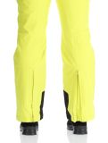 Vignette Icepeak, Freiberg pantalon de ski hommes Aloe vert 