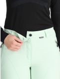 Vignette Icepeak, Freyung pantalon de ski femmes Aloe vert 