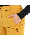 Vignette Icepeak, Freyung pantalon de ski slim fit femmes fudge brun 