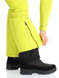 Vignette Luhta, Joentaus C pantalon de ski en softshell femmes Aloe vert 