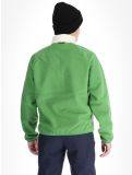 Vignette Napapijri, T-Dolent HZ gilet hommes Kelly Green vert 