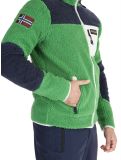 Vignette Napapijri, Yupik FZ 3 gilet hommes Kelly Green vert 