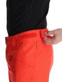 Vignette O'Neill, Hammer Regular Snow pantalon de ski hommes Paprika Flame orange 