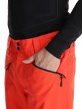 Vignette O'Neill, Hammer Regular Snow pantalon de ski hommes Paprika Flame orange 