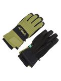 Vignette Oakley, B1B gants de ski unisexe Fern vert 