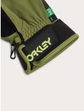 Vignette Oakley, B1B gants de ski unisexe Fern vert 