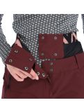 Vignette Picture, Exa Pt pantalon de ski femmes burgundy violet 