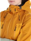 Vignette Picture, Fresya veste de ski femmes Desert Sage orange, vert 