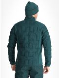 Vignette Picture, Horses gilet hommes Ponderosa Pine vert 