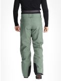 Vignette Picture, Impact pantalon de ski hommes Laurel Wreath vert 