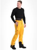 Vignette Picture, Impact pantalon de ski hommes Autumn Blaze jaune 