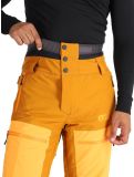 Vignette Picture, Naikoon pantalon de ski hommes Honey Carrot Chocolat brun, orange 