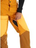 Vignette Picture, Naikoon pantalon de ski hommes Honey Carrot Chocolat brun, orange 