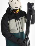 Vignette Picture, Object veste de ski hommes Black Ponderosa Pine Shadow noir, vert 