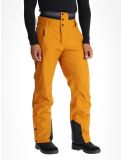 Vignette Picture, Object pantalon de ski hommes Honey brun 