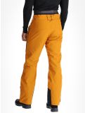 Vignette Picture, Object pantalon de ski hommes Honey brun 