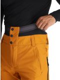 Vignette Picture, Object pantalon de ski hommes Honey brun 