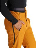 Vignette Picture, Object pantalon de ski hommes Honey brun 