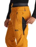 Vignette Picture, Object pantalon de ski hommes Honey brun 