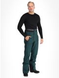 Vignette Picture, Object pantalon de ski hommes Ponderosa Pine vert 