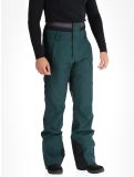 Vignette Picture, Object pantalon de ski hommes Ponderosa Pine vert 