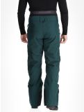 Vignette Picture, Object pantalon de ski hommes Ponderosa Pine vert 