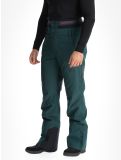 Vignette Picture, Object pantalon de ski hommes Ponderosa Pine vert 