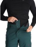 Vignette Picture, Object pantalon de ski hommes Ponderosa Pine vert 