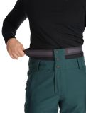 Vignette Picture, Object pantalon de ski hommes Ponderosa Pine vert 