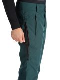 Vignette Picture, Object pantalon de ski hommes Ponderosa Pine vert 