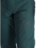 Vignette Picture, Object pantalon de ski hommes Ponderosa Pine vert 