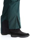 Vignette Picture, Object pantalon de ski hommes Ponderosa Pine vert 