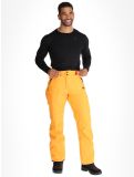 Vignette Picture, Plan pantalon de ski hommes Carrot orange 