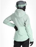 Vignette Picture, Sygna veste de ski femmes Silt Green vert 